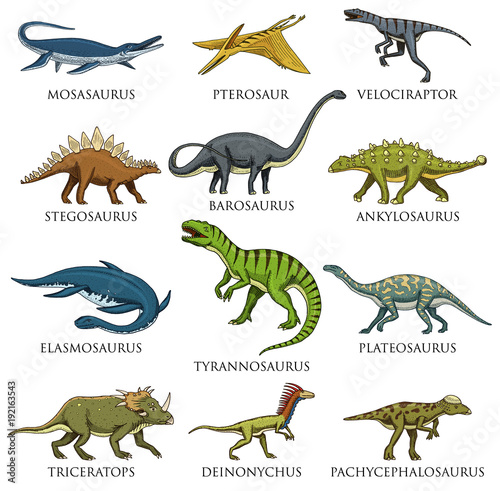 Dinosaurs set  Tyrannosaurus rex  Triceratops  Barosaurus  Diplodocus  Velociraptor  Triceratops  Stegosaurus  skeletons  fossils. Prehistoric reptiles  Animal Hand drawn vector.