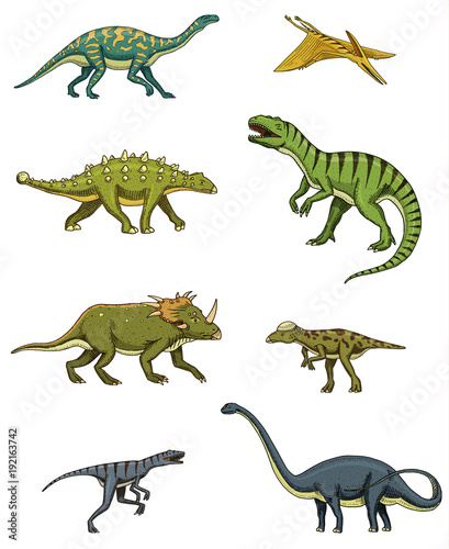 Dinosaurs set, triceratops, barosaurus, tyrannosaurus rex, stegosaurus, pachycephalosaurus, diplodocus, deinonychus, velociraptor, skeletons, fossils. Prehistoric reptiles, Animal Hand drawn vector. © artbalitskiy