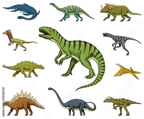 Dinosaurs set  Tyrannosaurus rex  Triceratops  Barosaurus  Diplodocus  Velociraptor  Triceratops  Stegosaurus  skeletons  fossils. Prehistoric reptiles  Animal Hand drawn vector.