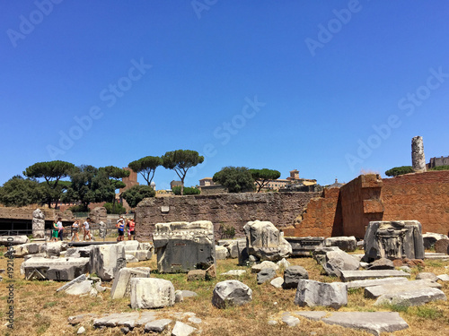 The ancient ruins of the Roman Forum, Rome, Italy.