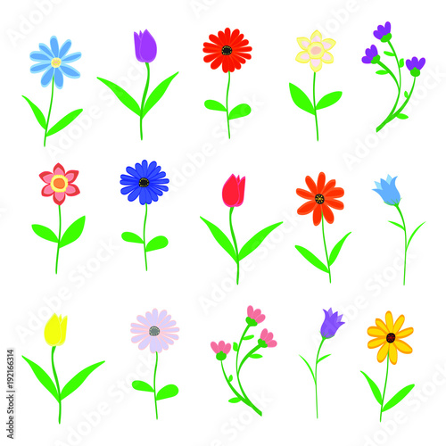 Hand drawn Spring flowers set isolated on white background vector illustration