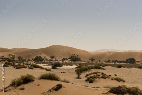 Desert Landscapes