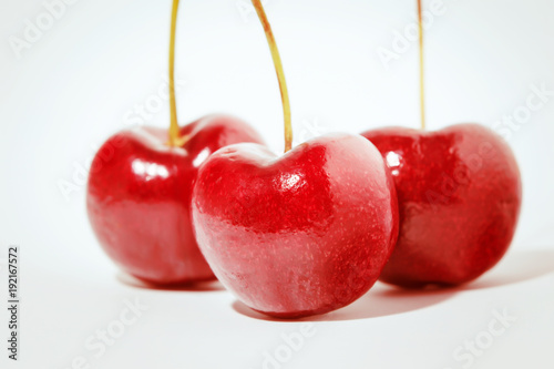 Cherry fruit isolated on blue background. pop art color concept
