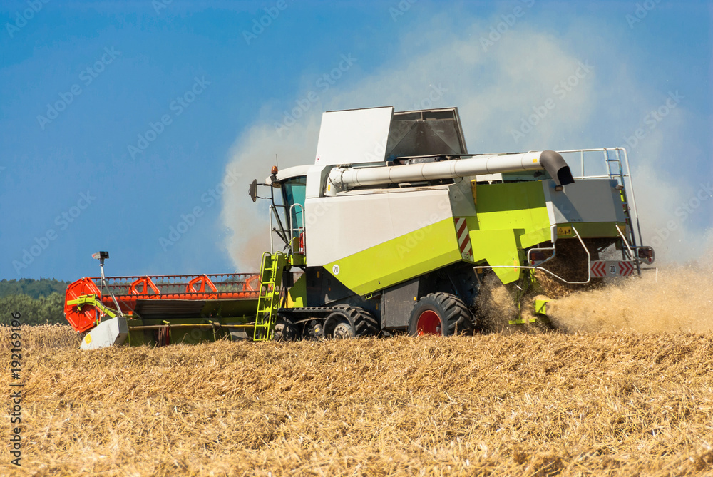 Obraz premium Combine harvester in action - 253816