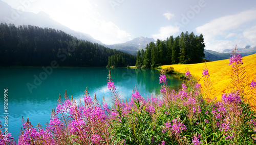 Amazing sunny day at Champferersee lake in the Swiss Alps. Silvaplana village, Switzerland, Europe. Landscape photography