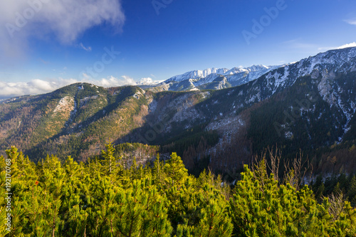 Scenery of Tatra mountains at winter  Poland