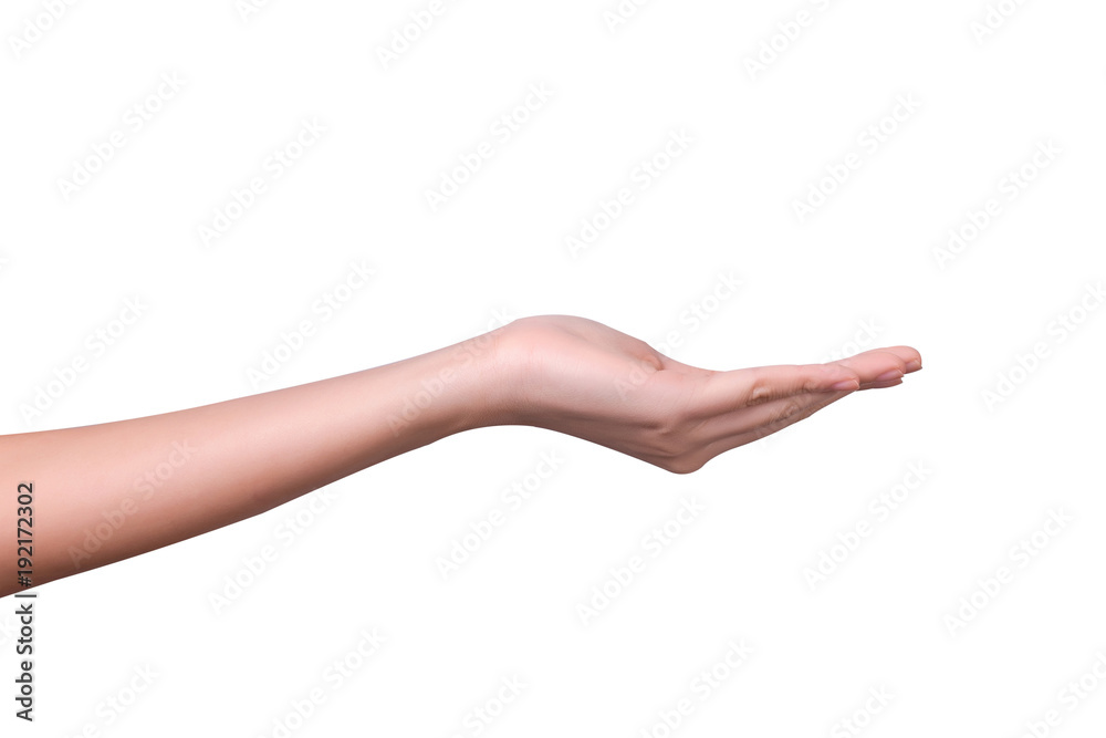 empty female woman hand holding isolated on white empty female woman hand holding isolated on white