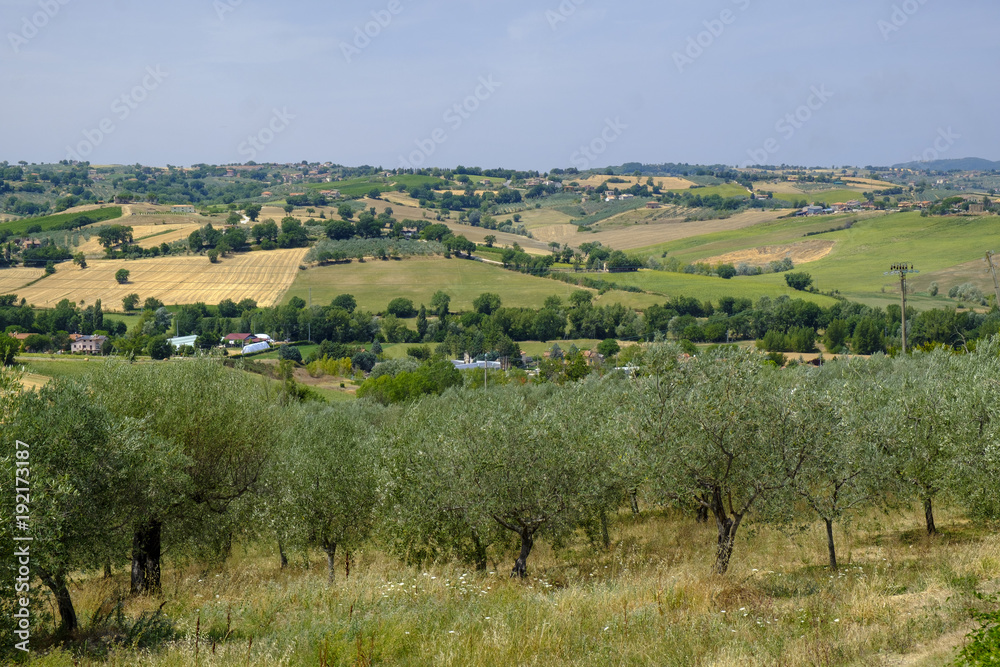 Landscape in Umbria at summer