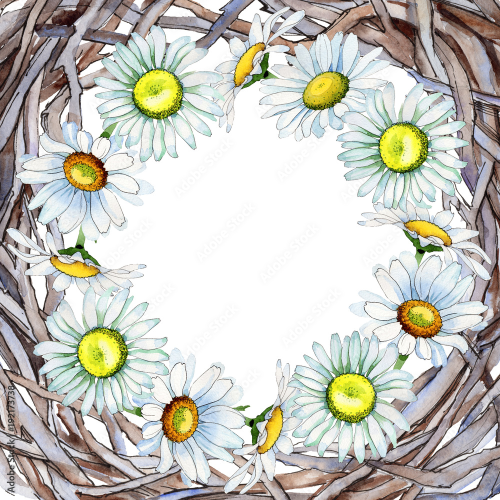 Fototapeta premium Wildflower chamomile flower frame in a watercolor style. Full name of the plant: chamomile. Aquarelle wild flower for background, texture, wrapper pattern, frame or border.