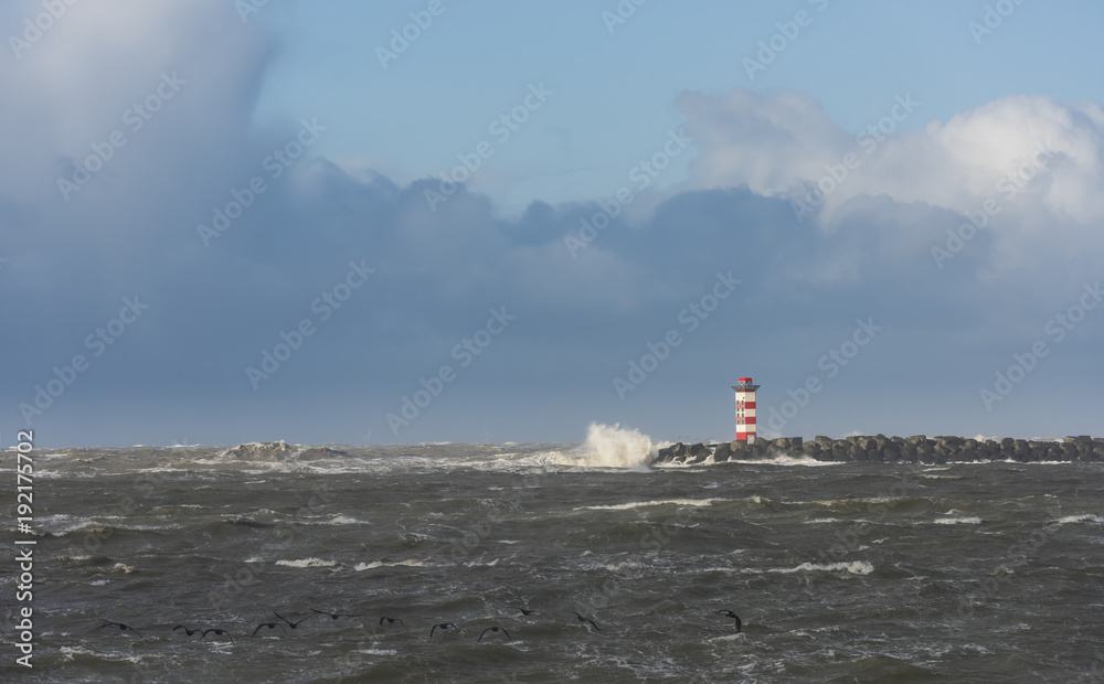 Northpier Storm IJmuiden