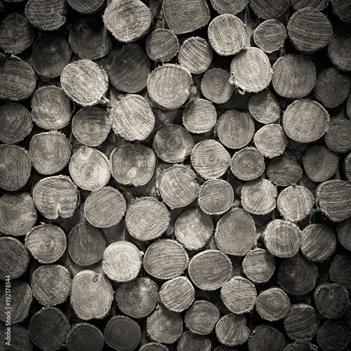 real wood logs pile background, black and white