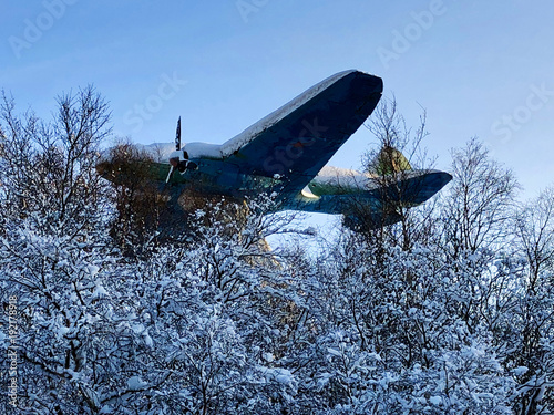 World War II aircraft stuck in the trees