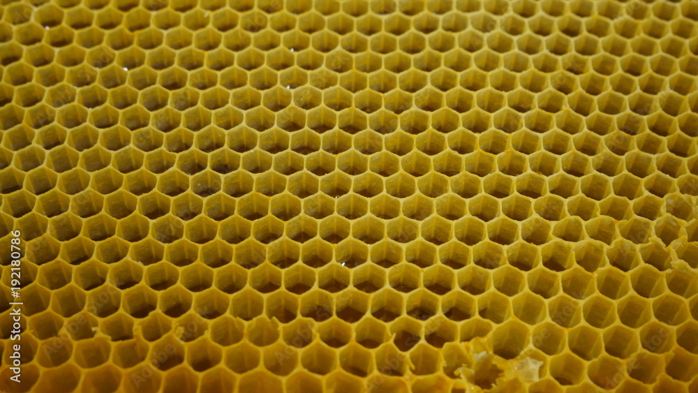 Part of a bee hive with pattern and yellow colour. Natural pattern created by bees for honey storage.