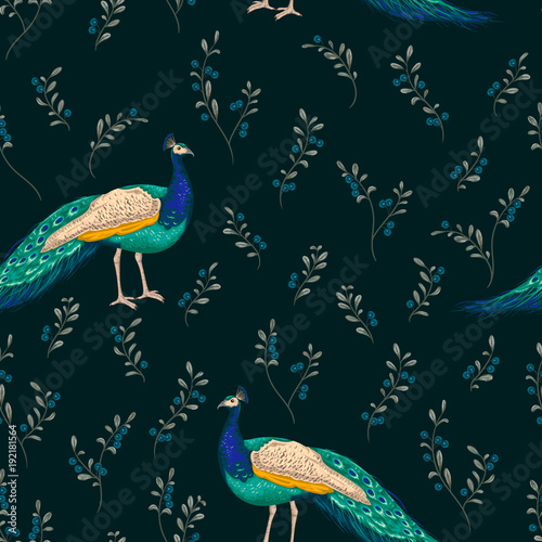 Seamless pattern with peacock and blueberry. Vintage vector illustration in watercolor style