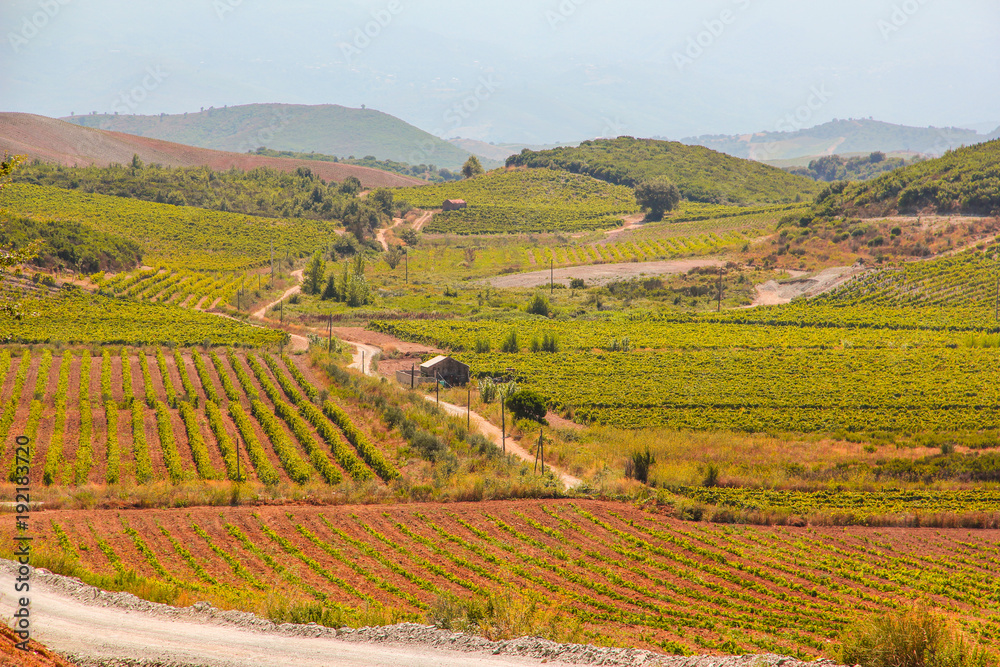 Fototapeta premium campagna in corsica