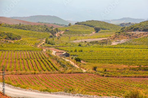 campagna in corsica