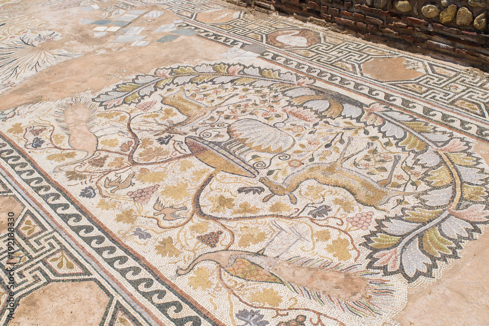 Ancient tiled mosaics depicting nature at the ruins of Heraclea Lyncestis in Bitola, Republic of Macedonia