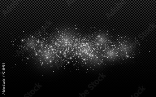 Abstract white lights on a transparent background. Flying glowing particles. Christmas snow. Snowstorm. Glares with dust. Vector illustration