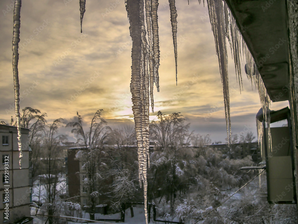 Obraz premium large icicles on the roof against the winter courtyard with snow-covered trees on the background of crimson evening sunset with clouds during the February thaw.