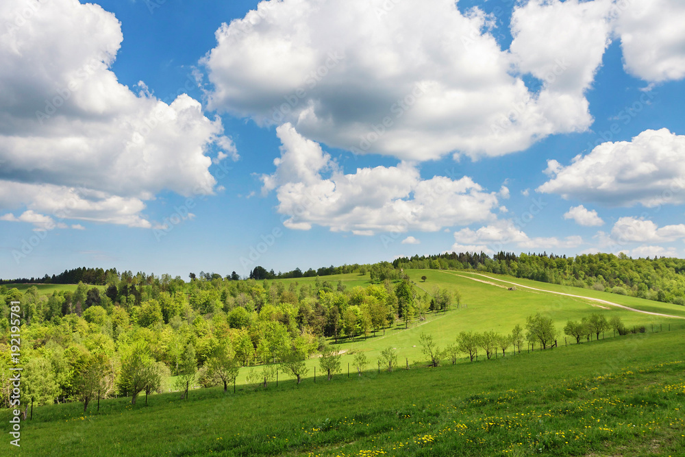 Obraz premium Blue cloudy sky over green hills and country road