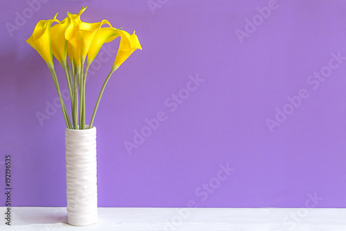 Fototapeta Naklejka Na Ścianę i Meble -  Purple wall with calla lily yellow flower on shelf white wood, copy space for text. Still life Concept