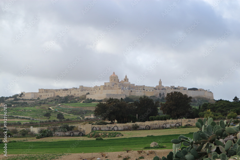 Citadel of Mdina, Malta