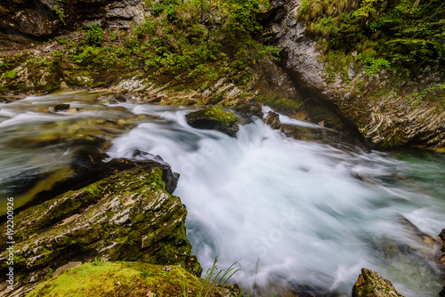 Mountain river Radovna in the Vintgar gorge, a natural Triglav national Park, Slovenia. 