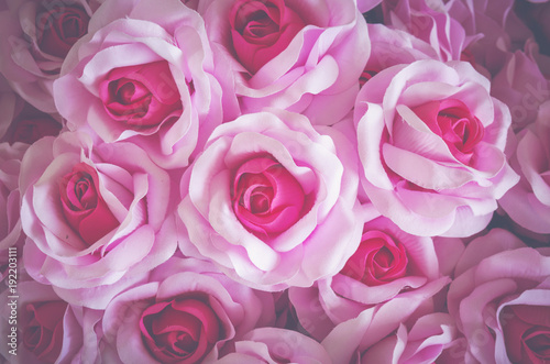 rose flower background for ...