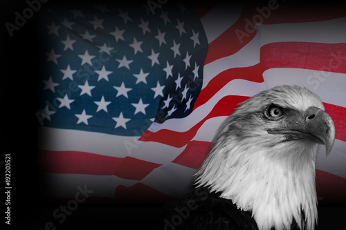 Poster American flag with eagle photo