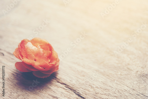 Valentine love concept with...