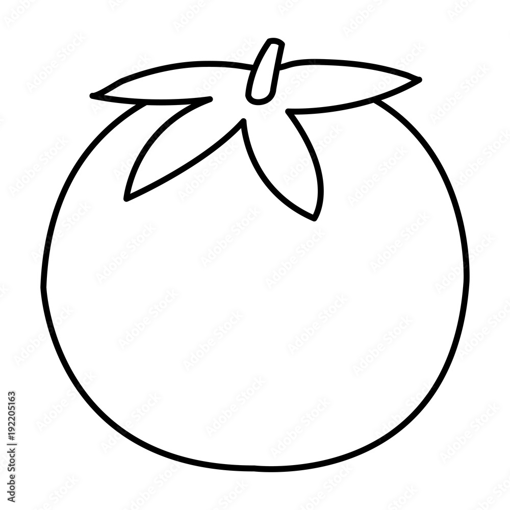 fresh tomato isolated icon vector illustration design fresh tomato isolated icon vector illustration design