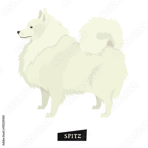 Dog collection Spitz Geometric style Isolated object