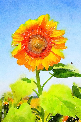 Watercolor of a sunflower in a blue sky