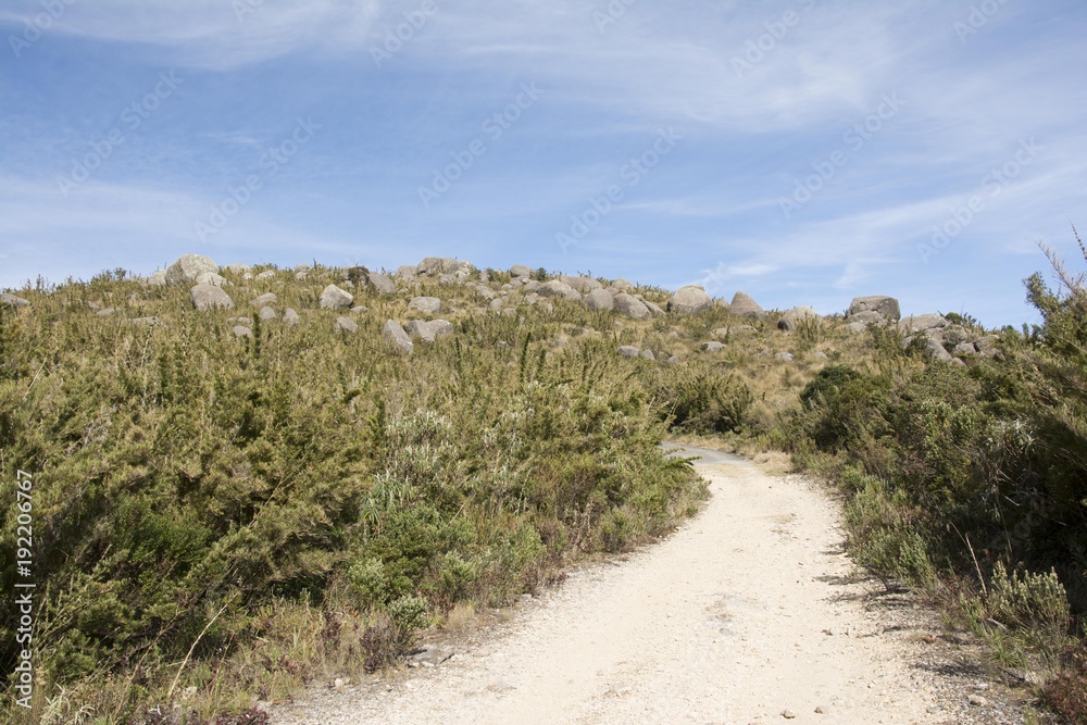 Caminho livre