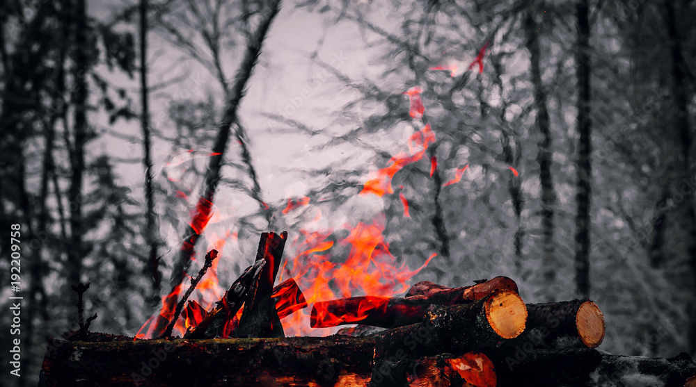 small fire in the forest small fire in the forest