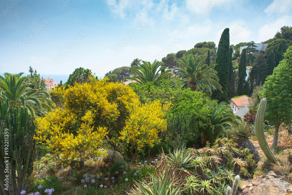 Botanical garden on Mediterranean coast of Spain , Blanes.