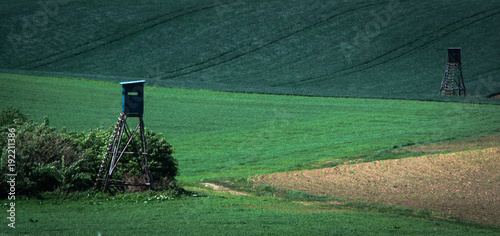 Green spring field abstract background photo