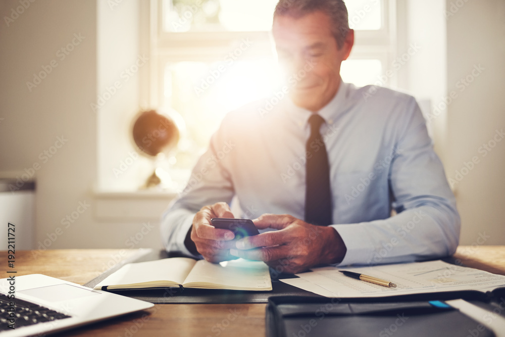 Mature businessman using a cellphone at an office desk Mature businessman using a cellphone at an office desk
