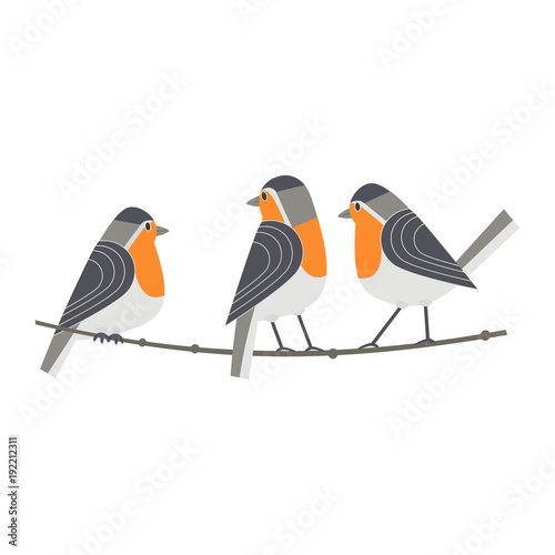 Cute Robin birds icon. Cartoon comic style. Winter birds of city garden, backyard. Stylized funny animal isolated. Element for banner background. Vector design of wildlife, nature park advertisement