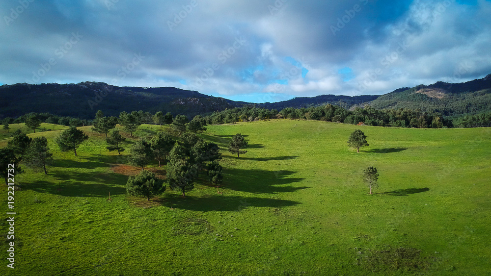 Aerial view  from a green field with trees and a mountain in background