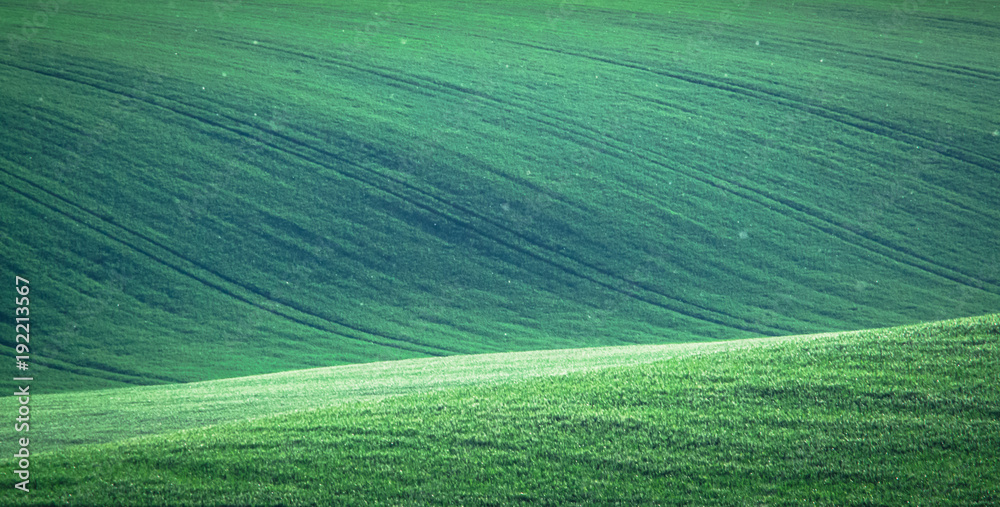 Green and gray spring field abstract background