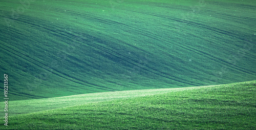 Green and gray spring field abstract background © Premium_art