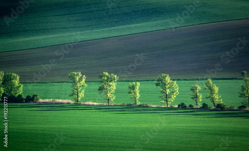 Green and tirquoise spring field abstract background photo