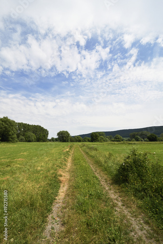 Gruene Wiese mit Baeumen, blauem Himmel und Wolkenh, Green meadow with trees blue scy and clouds