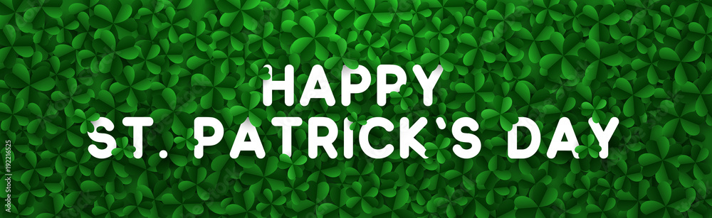 Fototapeta premium Vector background clover leaves