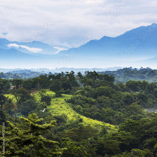 Mexico Jungle Landscape © THP Creative