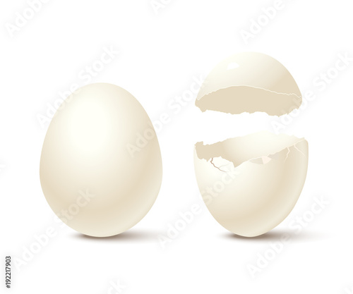 Egg and broken empty eggshell isolated on white background. Vector realistic design element.
