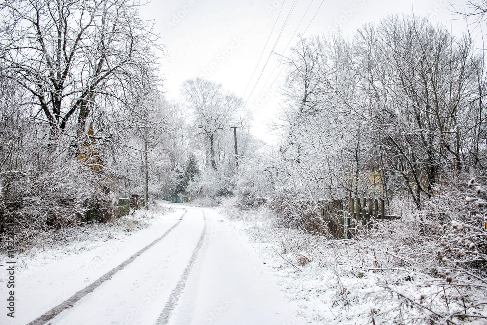  winter in the village