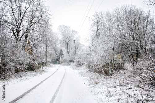  winter in the village © Мария Тихонова
