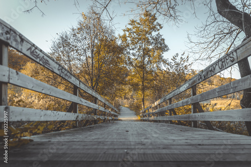 wood bridge